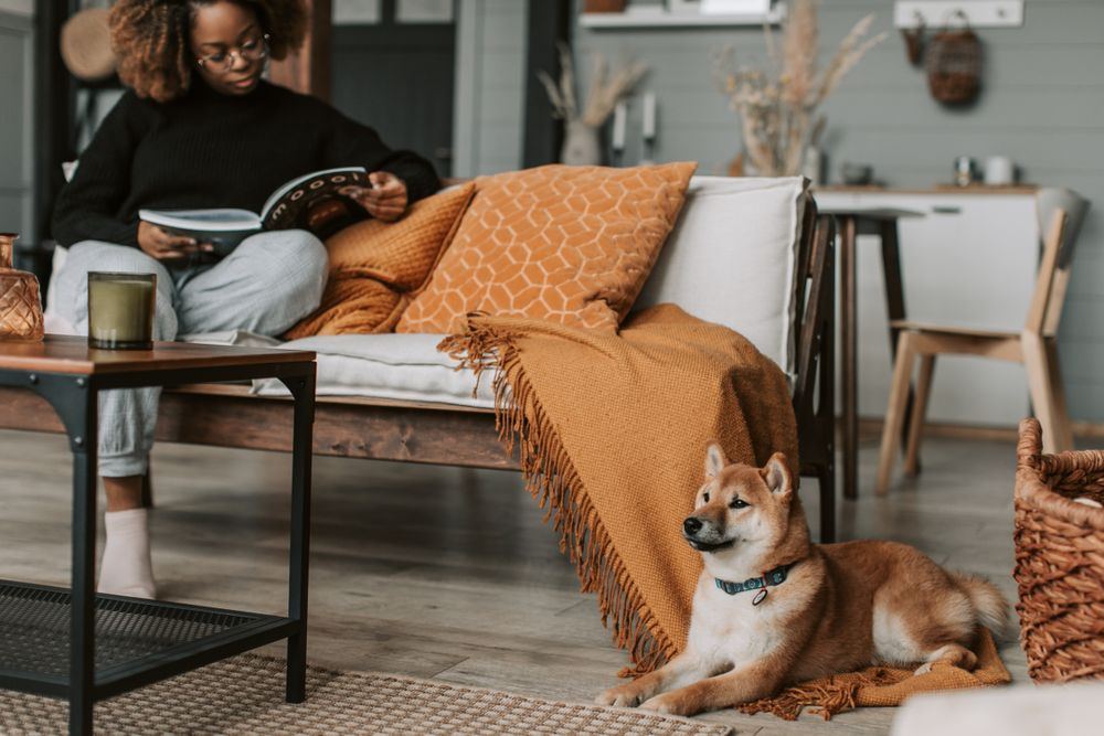 Dog relaxing on the floor of a cozy living room in an Oklahoma home